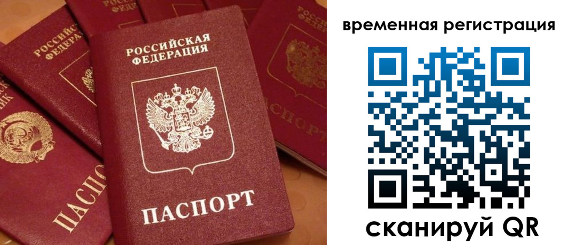 где прописаться в Нелидово